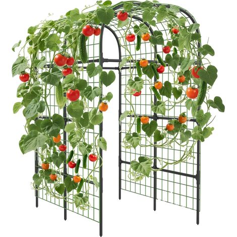 Arche de jardin treillis, construction en métal, 124 cm de largeur, 180 cm de profondeur, 224 cm de hauteur, support robuste (1/5)