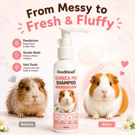 KineShineX Meerschweinchen-Shampoo reinigt sanft, entfernt Gerüche und macht das Fell glatt und flauschig. (1/4)