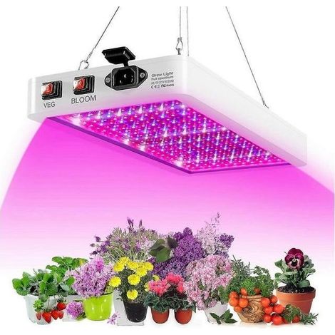 Lampe de croissance LED 2000 W pour plantes d'intérieur, 312 LED, spectre complet, double interrupteur, étanche IP65, pour végétation et floraison,