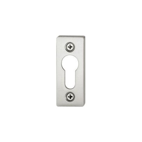 PT-Rosace porte profil BB, 0 17 1755,eck.,Alu F1