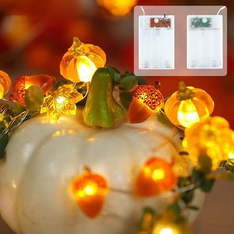Fairy Lights, 3 Metres LED Light with Tassels Pumpkins Maple Leaves LED Light Decoration for Holidays, Halloween, Thanksgiving (1/4)