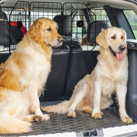 Rejilla separadora para coche para perros, ajustable 93-150 cm, plegable, acero, negra OKMYHOME (1/5)