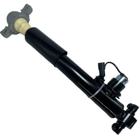 DG9Z18125C Stoßdämpfer-Baugruppe hinten für Lincoln-DG9Z18125C- (1/5)