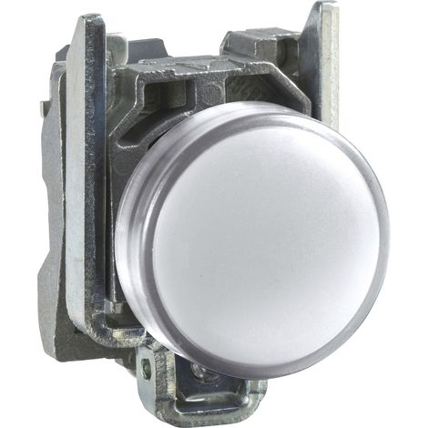 Schneider Electric XB4BVB1 Meldeleuchte   Weiß 24 V/DC, 24 V/AC 1 St.