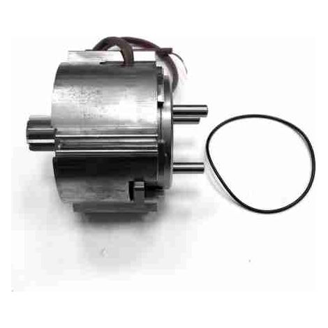 Gruppo Elettromagnete – Stylo Me Ricambio CAME 119RID342