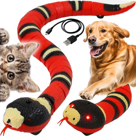 Serpent interactif pour chats – 40 cm, rechargeable via USB