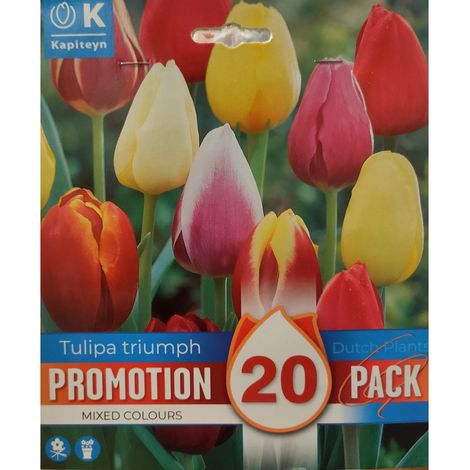 Promo Bulbi di Tulipano Triumph Colori misti Kapiteyn 20pz (1/5)