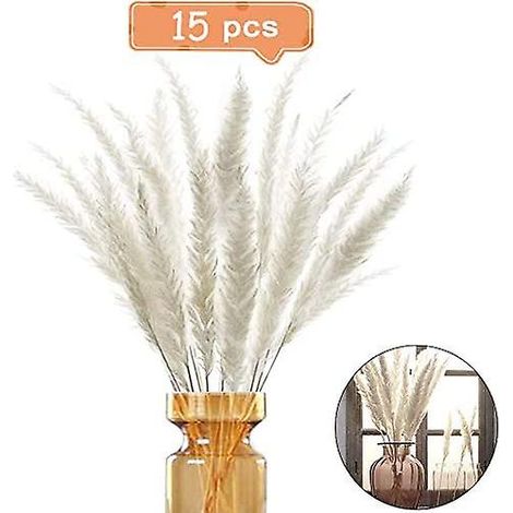 Lot de 15 tiges d'herbe de la pampa blanches séchées pour bouquets de fleurs décoratifs (1/5)
