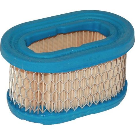 Filtre à air Briggs et Stratton - 497725S