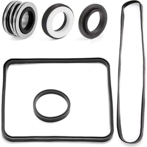 Kit de joints spécifique pour pompes de piscine Hayward, compatible avec les modèles SP2600 et SP1600 (B) (1/5)