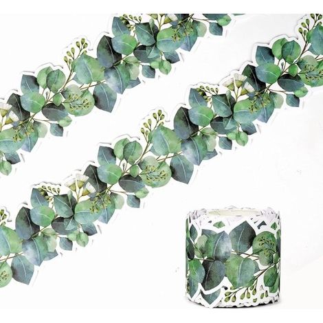Bordure décorative découpée en eucalyptus de 15 m pour tableau d'affichage, décoration murale, présentoir de bureau ou mur de photos.