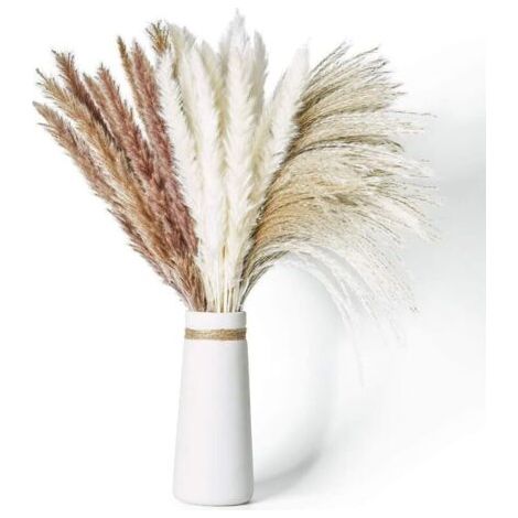 Herbe de la pampa séchée naturelle, 60 pièces de 65 cm, 3 couleurs différentes, duveteuse et retombante, idéale pour des compositions florales bohèmes, des mariages et la décoration intérieure. (1/5)