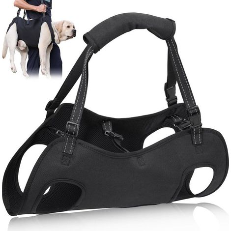 Harnais De Soutien Pour Chien - Bandes D'épaule Réglables - Support Précis Pour Chiens Handicapés Ou Âgés - Taille L - 18 À 27,5 Kg (1/5)