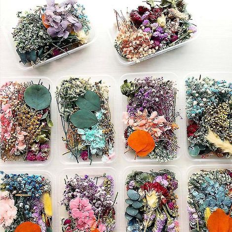 Assortiment de fleurs séchées, fleurs éternelles et feuillage mélangés pour la fabrication de bougies d'aromathérapie maison et carte de vœux (1/5)