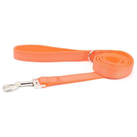 BUNTHAUS Laisse pour chien en soie, orange - 251200mm, 2 pièces - Taille L (1/5)