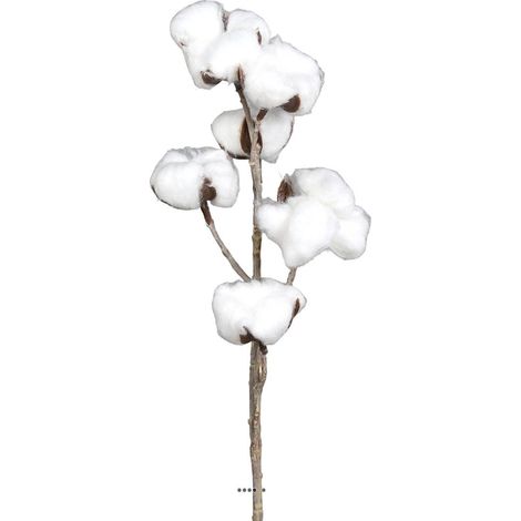 Branche de coton artificielle H 60 cm 6 tetes (1/3)