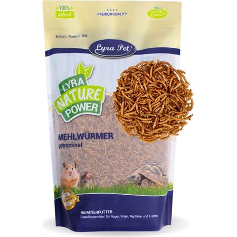 2 kg de vers de farine Lyra Pet® pour rongeurs