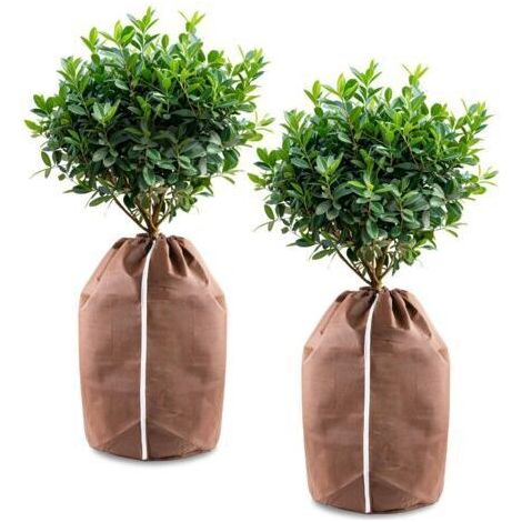 BUNTHAUS Housses d’hivernage pour Plantes en Pot, 50x45cm Housses hivernage, Housse Hivernage Plante, Housse d’Hivernage, Brun(2pack) (1/5)
