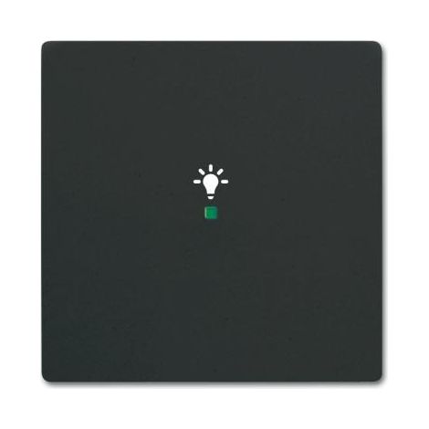 Busch-Jaeger Bascule Symbole "Lumière" 1x noir mat - Plateforme 63 (6231-10-885), 2CKA006220A0499