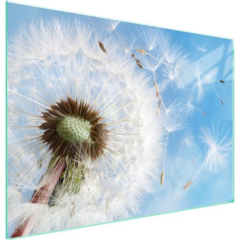 Protection de plaque de cuisson en verre 70x52 cm, motif floral (1/5)