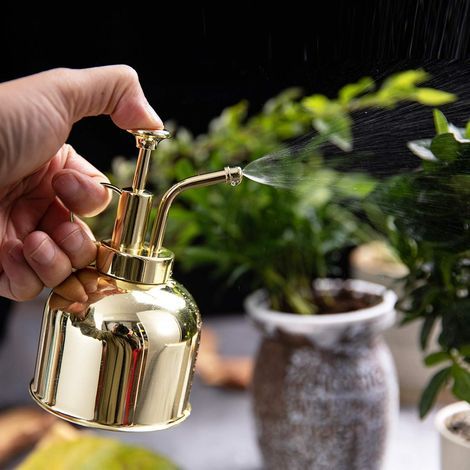 300 ml Vintage-Gießkanne aus Edelstahl, Sprühflasche für Gartenpflanzen, Bewässerungswerkzeug (Gold)