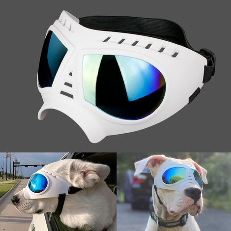[JAMAIS UTILISÉ]Lunettes pour Chiens Protection des Yeux Sangles Réglables Facile à Mettre Anti-UV Lunettes de Soleil pour Moyen/Grand Chien (1/3)