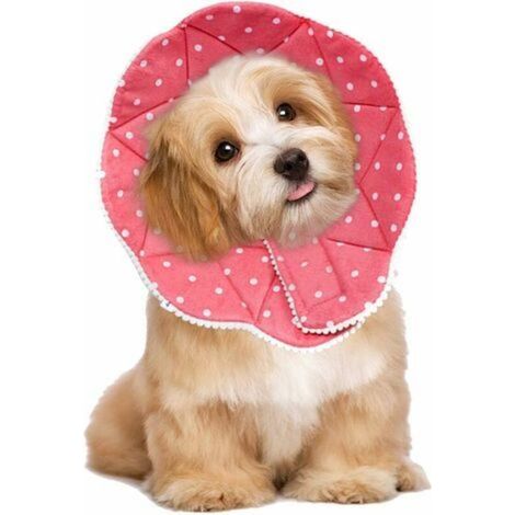 Collier Protecteur Chat Chien - Taille S - Circonférence 23-26 cm - Mousse Souple et Tissu Doux - Imperméable Lavable - Pour Récupération Post-opératoire (1/5)