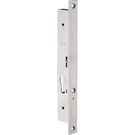 Serrure à encastrer 2 points haut et bas METALUX N30-39.5 mm - axe 24.5mm - Sans gâche - F130393000 (1/5)