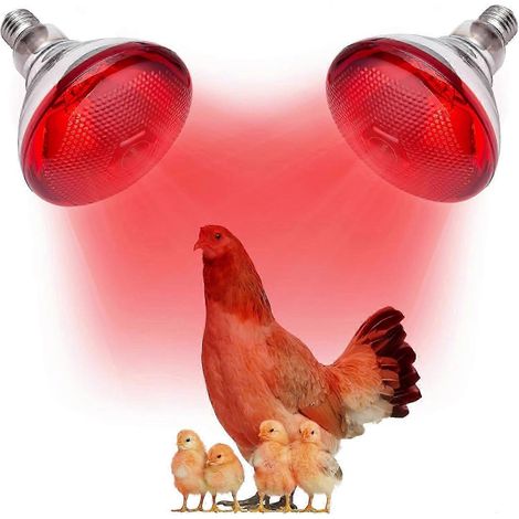 Lampe chauffante infrarouge E27 pour poules, 220 V, 100-275 W, ampoule chauffante rouge pour poulailler, élevage de poussins et reptiles. (1/5)
