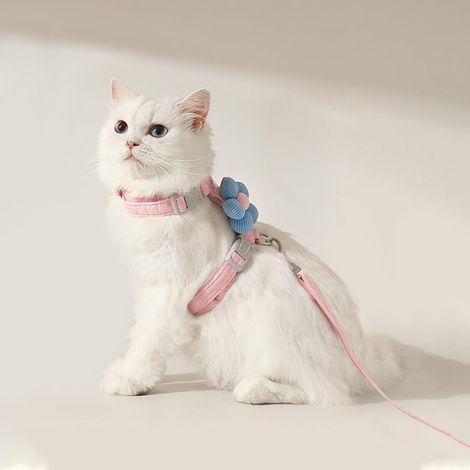 Katzengeschirr mit Leine, unzerbrechlich, verstellbar, geeignet für kleine Katzen (M) (1/2)