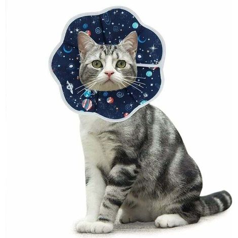 Collare di contenimento anti-morso per gatti e cuccioli – Collare di recupero morbido e regolabile, blu, taglia M