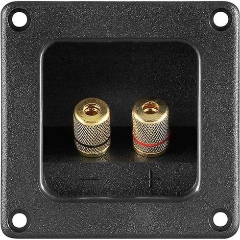 Conjunto de 2 bornes para altavoz cuadrado  Negro (1/4)