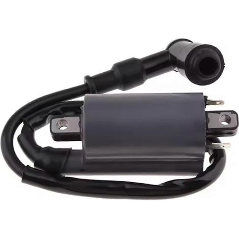 Bobine d'allumage pour moteur Buyang 260 260cc 300cc D300 G300 (1/4)