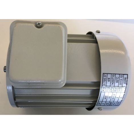 ELMAG Motor Nr. 160