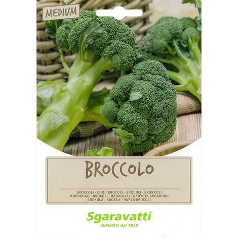 Semi per Fave Broccoletto Novantino Sgaravatti 100 gr