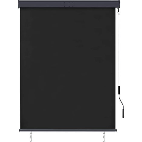 vidaXL Tenda a Rullo per Esterni 120x250 cm Antracite