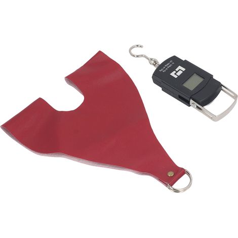 Porte-poulailler portable et polyvalent avec balance suspendue pour poules, coqs et canards (ensemble rouge) (1/5)