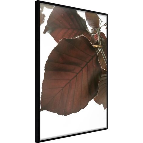 Affiche Murale Encadrée "Burgundy Tilia Leaf" 21 x 30 cm Noir