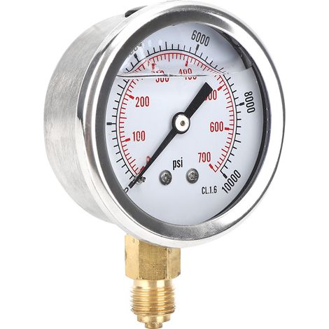 Manomètre radial TS&PGG604&700bar 1/4BSP Y60 pour la mesure de pression domestique (1/5)