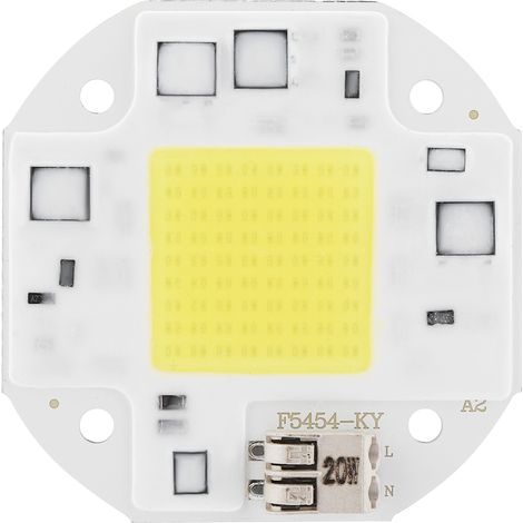 Lumière COB 20/30/50W 6000K AC 100-260V pour lampadaire projecteur extérieur (20W 6000K) (1/5)
