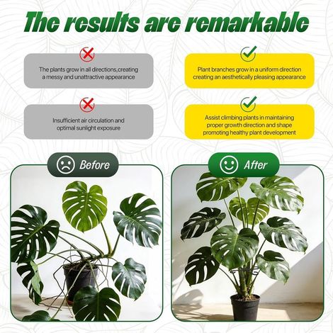 Ensemble de Supports pour Plantes - 8 Support Plantes Interieur - Aide à Grimpante Monstera et Supports pour Plantes - Tuteurs pour Plantes d'Intérieur, Plantes Vivaces et Fleurs (1/2)