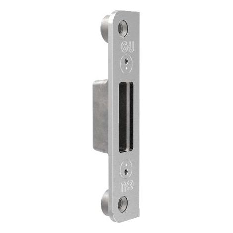 BKS Schließplatte verd. für Automatikriegel, Y=15 mm, Stahl dekorsilber (1/4)