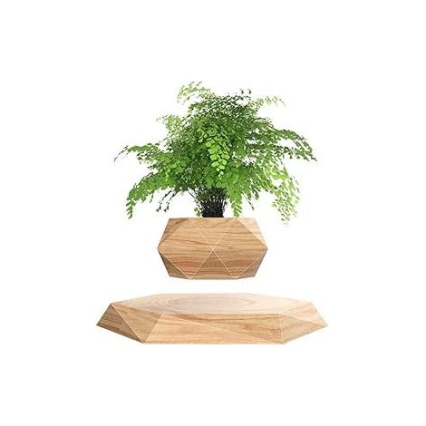 Plante en Lévitation Plante Flottant Air Bonsaï Jardinière de Pot de Fleur de Suspension pour la décoration de Bureau (1/5)