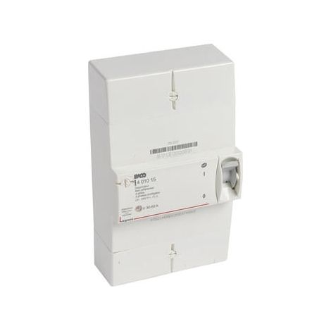 Disjoncteur de branchement Enedis tétrapolaire non différentiel - 60A - 401015