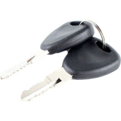 Cylindre de Serrure - Opel - Movano - Nissan - Interstar - Renault - Master II - 2 Clés (1/5)