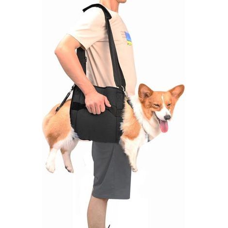Harnais de transport pour chien, sac à dos d'urgence pour soutien et rééducation des jambes d'animaux domestiques (M, noir)