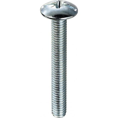 Viti testa bombata larga 6 x 80 - 1 Kg.