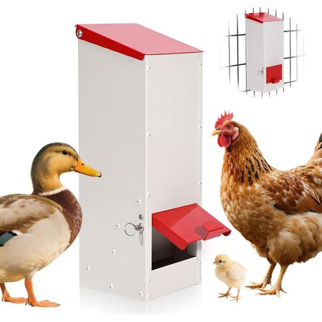 Mangeoire Automatique Pour Poulets En Acier Inoxydable Pour 3 Kg De Nourriture Mangeoire Volaille Mangeoire Poules Suspendue Mangeoire à Poule Pour Poule Canard Volaille (1/5)