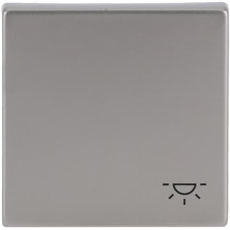 Busch-Jaeger Bascule avec impression symbole "Lumière" pour interrupteur/bouton-poussoir, 1 compartiment inox - pur edelstahl (2520 LI-866), 2CKA001751A3191
