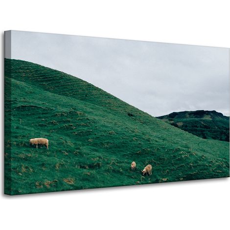 Lienzo impreso "Pasto natural en las montañas" 100x60